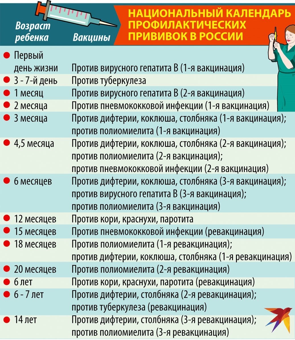 Национальный календарь прививок для детей до 1 года в РФ